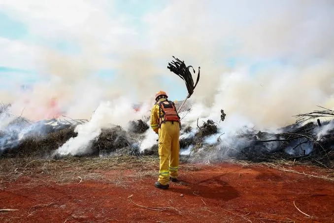 Defesa Civil alerta para calor de até 35°C e risco de incêndios em Caraguatatuba
