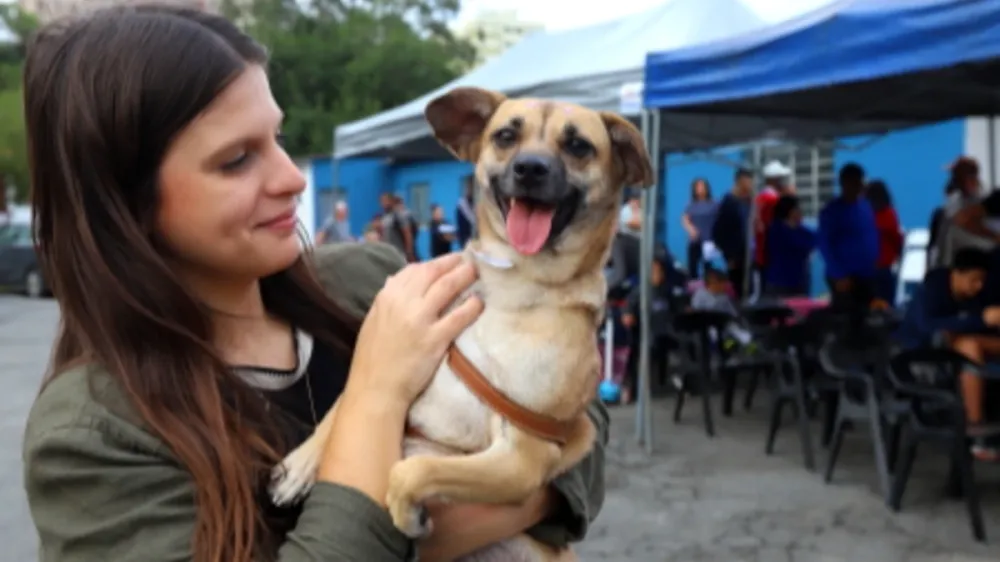 Jacareí oferece microchipagem gratuita para cães e gatos em clínicas veterinárias