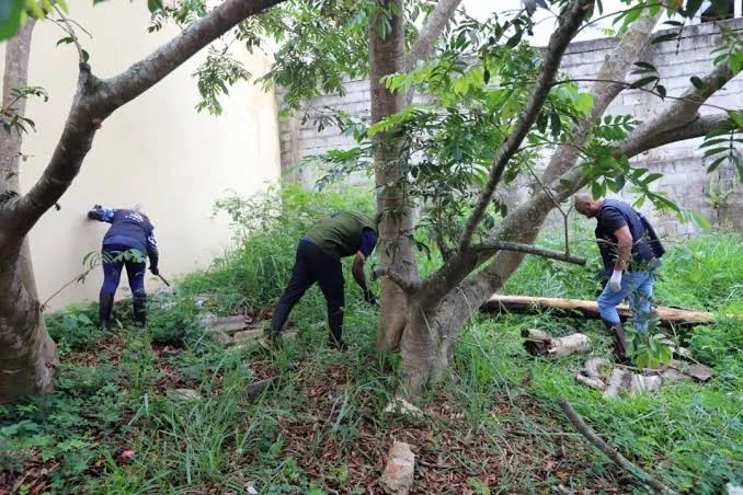 Jacareí intensifica ações de combate a escorpiões durante setembro