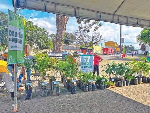 Semana da Árvore terá ações ambientais e de preservação da fauna em Pindamonhangaba
