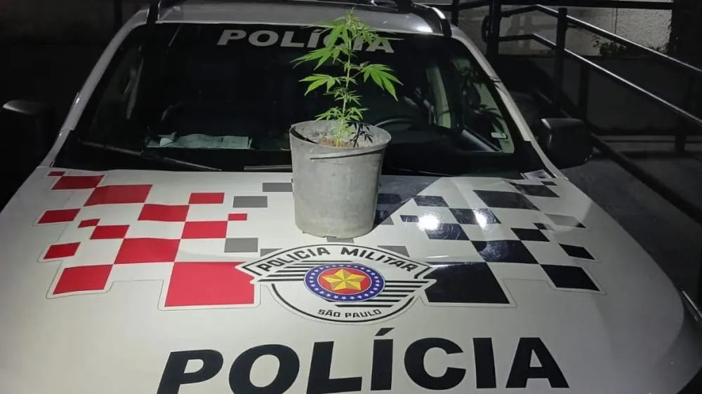 Polícia Militar prende homem transportando pé de maconha em São José dos Campos