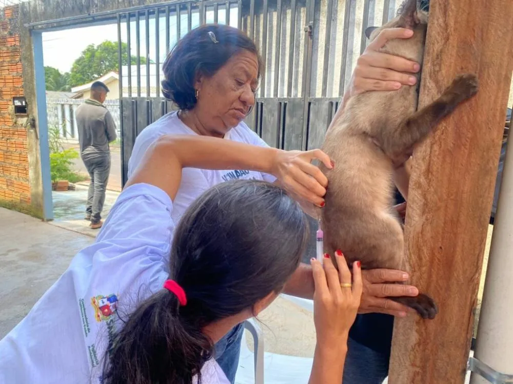 Tremembé realiza vacinação antirrábica para cães e gatos no Jardim Santana