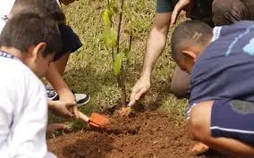 “Dias Verdes” promove ações de educação ambiental em Taubaté entre 22 e 25 de setembro