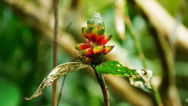 Primavera inspira reflexão sobre renovação e novos ciclos