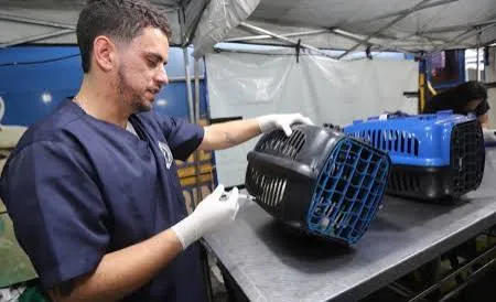Jacareí inicia entrega de senhas para novo mutirão gratuito de castração de cães e gatos