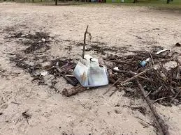 Mutirão retira pneus, plásticos, roupas e eletrônicos das praias de Caraguatatuba