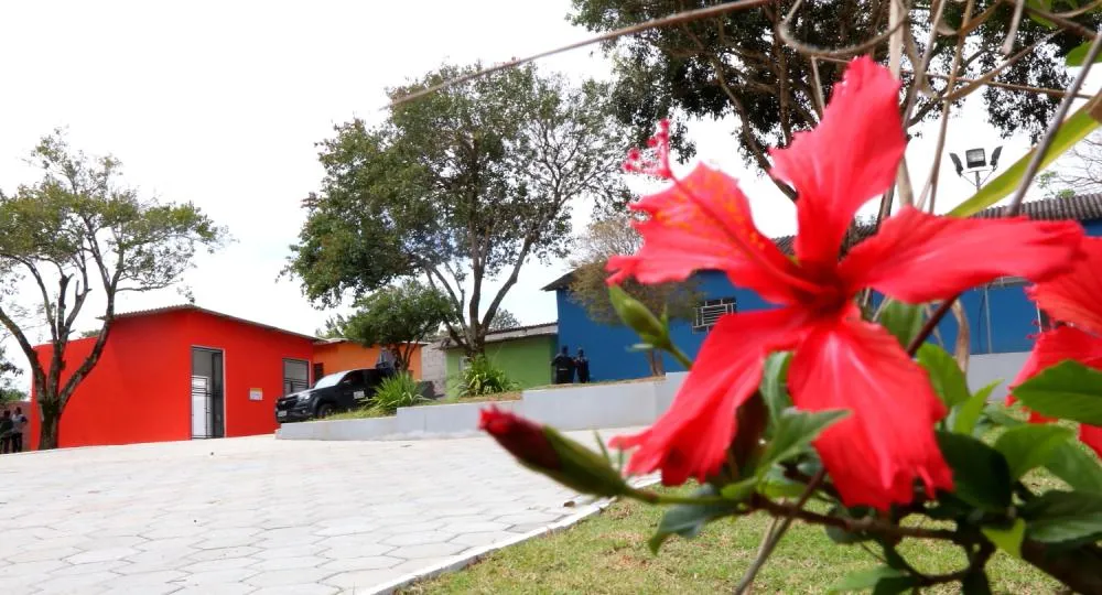 Prefeitura abre chamamento para gestão do Abrigo Transitório de Animais em Jacareí