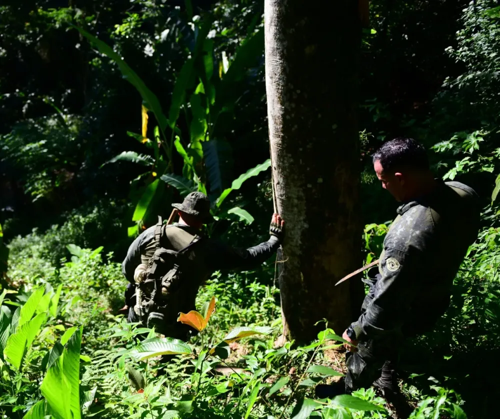 Operação contra tráfico prende suspeito e apreende drogas em trilha na mata de Ubatuba