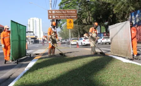 Jacareí divulga cronograma de capina, varrição e cata-treco para outubro