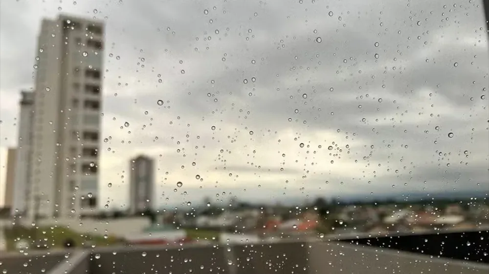 Defesa Civil alerta para temporais, ventos fortes e risco de alagamentos em São Paulo