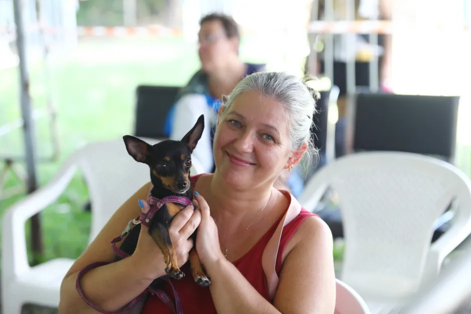 São José dos Campos abre mil vagas gratuitas para castração e microchipagem de cães e gatos