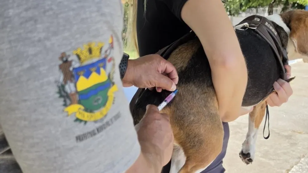 Taubaté realiza vacinação antirrábica gratuita para cães e gatos no Piratininga e Vila São José