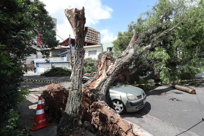 Pindamonhangaba reúne Defesa Civil e Saúde para reforçar prevenção diante da previsão de condições climáticas adversas
