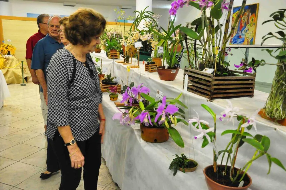 Caraguatatuba recebe 46ª Exposição de Orquídeas do Litoral Norte com entrada gratuita