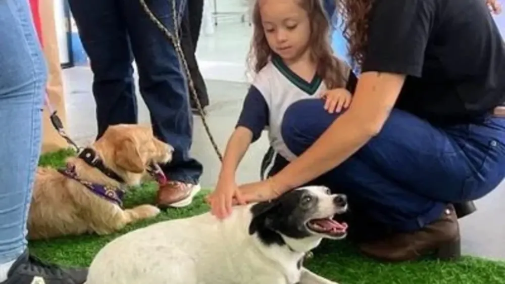 Projeto Antonieta encerra ação educativa sobre proteção animal em escola de Pindamonhangaba
