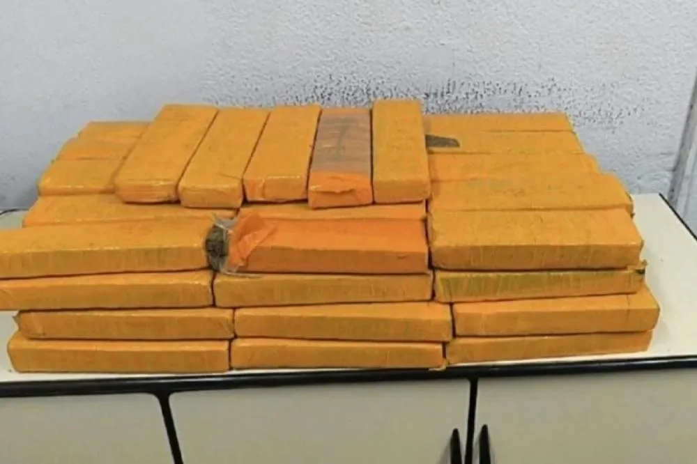 Polícia apreende quase 30 quilos de maconha escondidos em freezer de adega em São José dos Campos