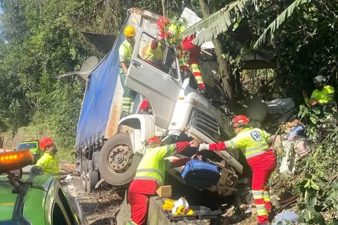 Caminhão perde os freios na descida da Rodovia Anchieta e motorista joga veículo contra barranco