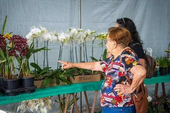 Exposição de orquídeas atrai mais de 2,2 mil visitantes de quatro estados e 56 cidades a Caraguatatuba