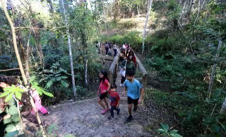 Eco Kids encerra programação neste domingo com oficinas, trilhas e atividades para famílias em Jacareí