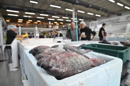 Mercado de Peixes de Ubatuba terá funcionamento alterado durante eleições e aniversário da cidade