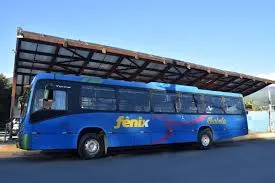 Ilhabela reduz passagem de ônibus para R$ 2,50 a partir de novembro e anuncia desconto de quase 50%
