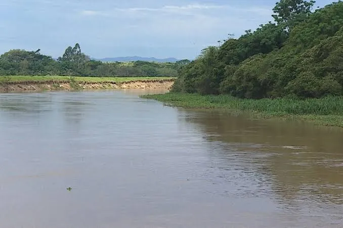 Pesquisa da Unesp em Guaratinguetá utiliza inteligência artificial para monitorar qualidade da água dos rios do Vale do Paraíba