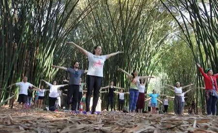 Jacareí terá yoga, oficinas de kokedama, trilhas e doação de mudas no Viver o Viveiro deste domingo