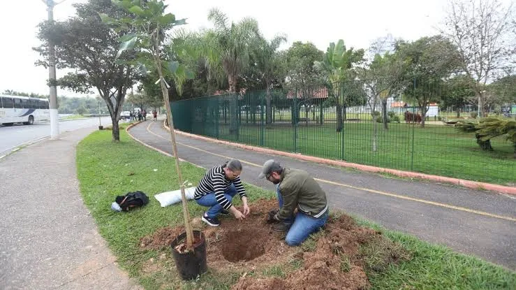 Jacareí promove plantio de quase 400 árvores nesta quarta e quinta-feira e convida população a participar