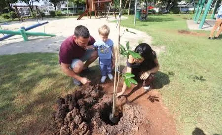 Jacareí mobiliza estudantes, servidores e moradores para plantio de cerca de 400 árvores na Avenida Davi Monteiro Lino