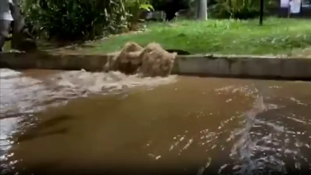 Taubaté (SP): vazamento de água atinge a Praça Santa Terezinha e mobiliza equipes da Sabesp