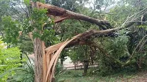 Moradores cobram manutenção de estradas rurais após chuvas em Paraibuna