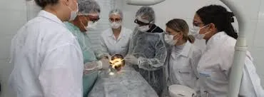 Caraguatatuba realiza campanha de prevenção ao câncer bucal neste sábado (28) em oito unidades de saúde