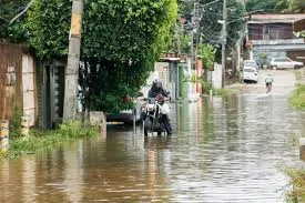 Jambeiro: forte chuva causa alagamentos, quedas de árvores e deslizamentos; cidade registra maior volume do estado