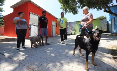 Jacareí abre cadastro para protetores independentes e ONGs da causa animal