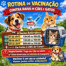 Canas realiza vacinação antirrábica gratuita para cães e gatos; ação termina nesta quinta-feira