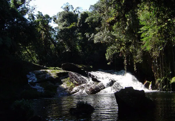 De Ubatuba para o Brasil: projeto da região listado na Bolsa de Ação Climática redefine a economia climática sustentável