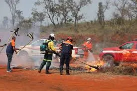Defesa Civil realiza treinamento da Operação SP Sem Fogo 2026 em Santo Antônio do Pinhal