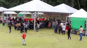 Festa do Pinhão de Queluz retorna em maio com programação cultural e gastronômica