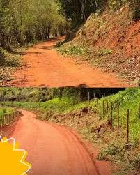 Roçada na Estrada da Vargem Grande melhora segurança e visibilidade em Areias