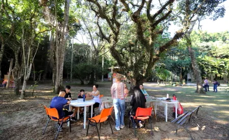 “Viver o Viveiro” abre portões neste domingo com oficinas ecológicas, trilhas e atividades gratuitas em Jacareí