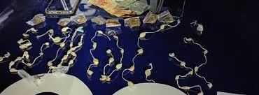 GCM prende três suspeitos por tráfico de drogas no bairro Golfinhos, em Caraguatatuba