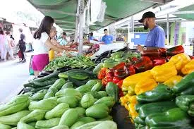Prefeitura mantém plantões no feriado do Dia do Trabalhador em São José dos Campos