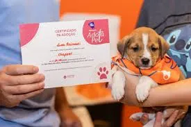 Workshop de Moda Pet une criatividade e conscientização em Pindamonhangaba