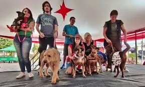 Evento “Mães de Pet” reúne famílias, tutores e animais na Praça Sete de Setembro
