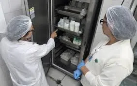 Conheça o caminho do leite humano que salva vidas no Hospital Municipal de São José