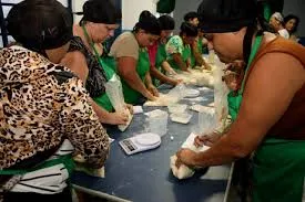 Fundo Social entrega certificados para participantes de curso de aproveitamento de alimentos em Caraguatatuba