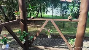 Parque Juqueriquerê recebe exposição gratuita de kokedamas em Caraguatatuba