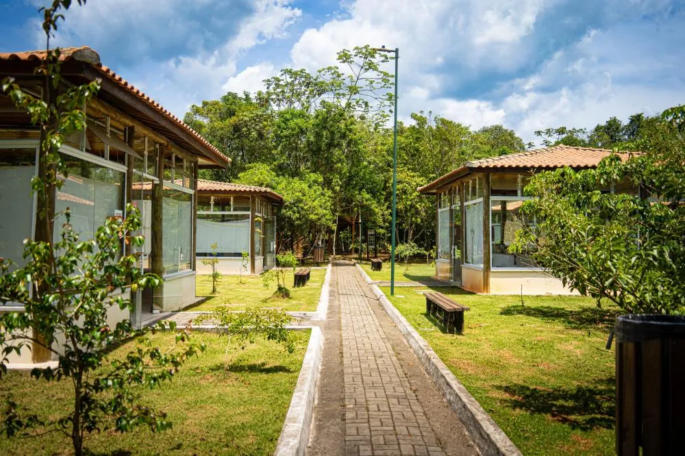 Caraguatatuba promove programação especial no Mês do Meio Ambiente com ações educativas e sustentáveis