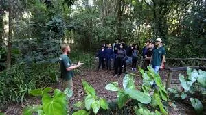 “Viver o Viveiro” terá oficina de minhocário, escalda-pés e doação de mudas em Jacareí