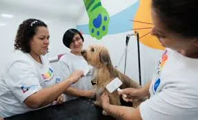 Jacareí abre inscrições para curso gratuito de Banho e Tosa para Pets